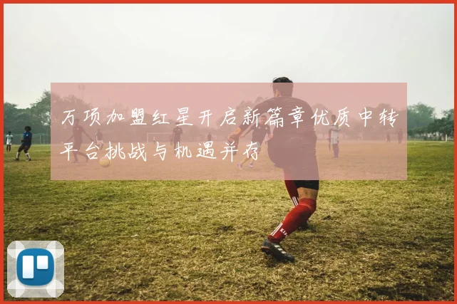 万项加盟红星开启新篇章优质中转平台挑战与机遇并存